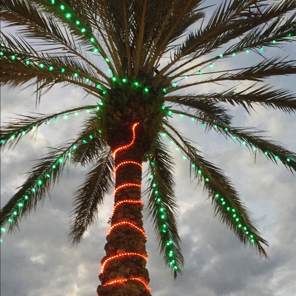 Meet your Posher, Shar - Picture 2 of 7